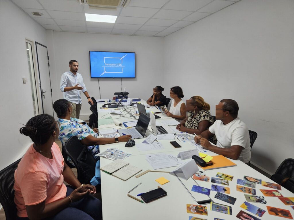 Formation CSE SSCT avec Timothé Félicité